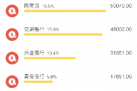 广南讨债公司